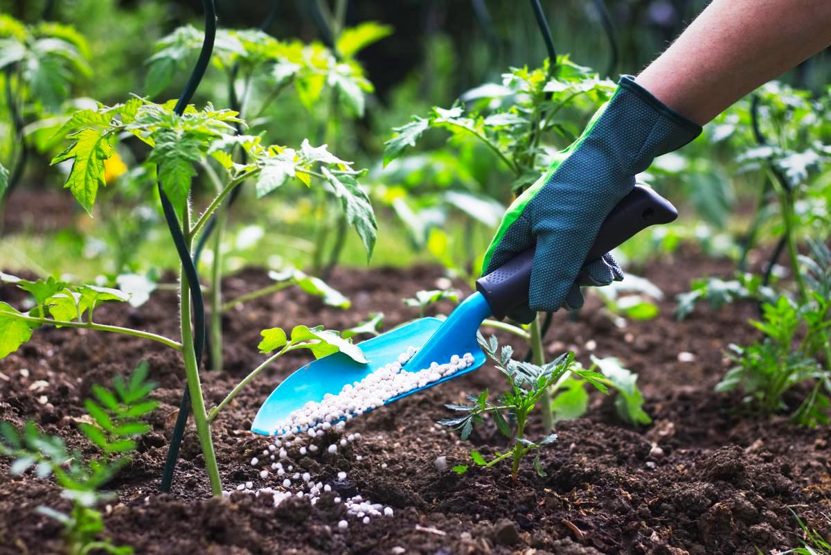 آیا می توان کود ارگانیک را با کود معمولی...